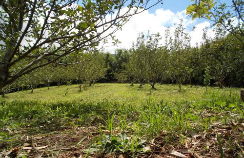 Quinta Rico - House II - Photo 53