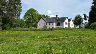 The Pink House - Photo 5