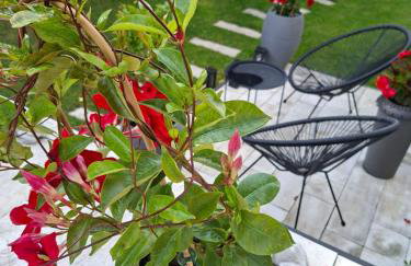 Marcowe Kąty-Przestrzeń na wypoczynek, odpocznij w ciszy i naturze, tylko 7 minut od Sandomierza - Foto 33