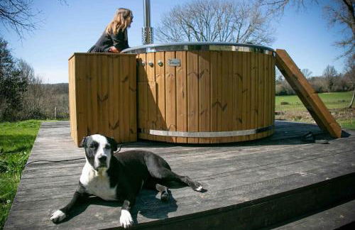 Les Maisons du Bonheur & Balnéo - Photo 51
