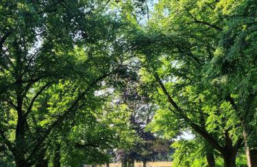 Beautiful Country House Apartment - Foto 10