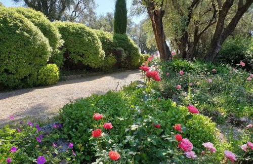 Pool House Renoir with heated pool and private garden - Foto 36