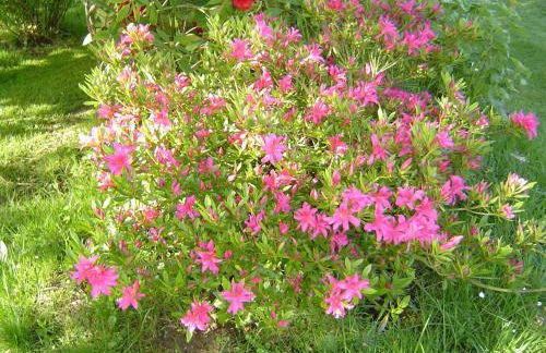 Gîte Paul et Rosalia - Foto 10