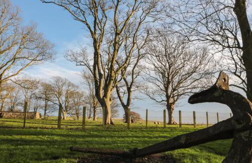 Shell Seeker Cottage - Foto 23