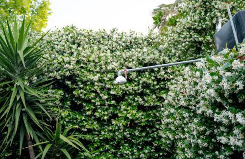 Zak's House - Foto 26