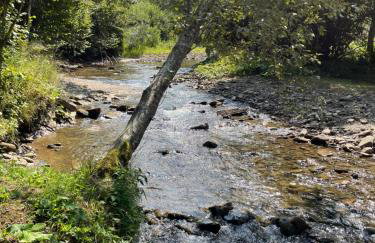 LoveLas - Apartamenty - Photo 57