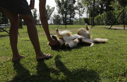 Residence Karina - Foto 37