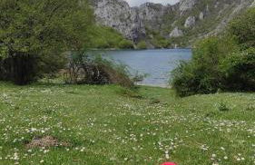 Abuela Carmen - Foto 34