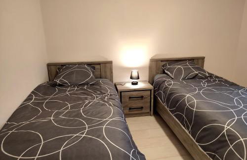 Les Randogodilleurs avec Jacuzzi à 2kms des pistes et 350m du Théatre du Peuple ! - Foto 11