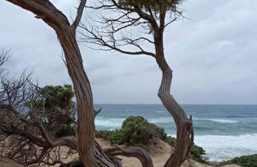 Borgo Ingurtosu - Photo 35