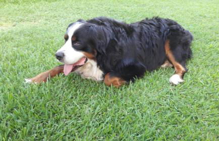 Agriturismo San Cataldo Farm Home - Foto 100