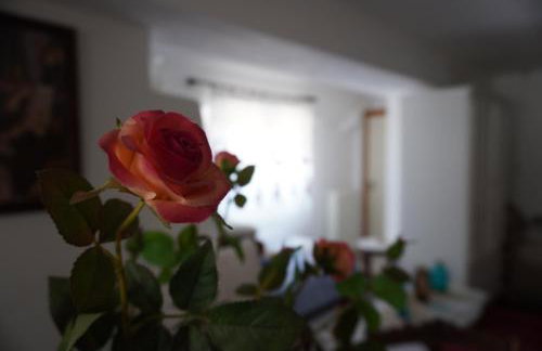 Stephania's Stone House - Foto 21