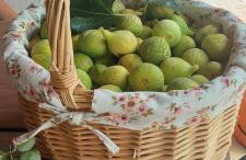 Trogir holiday house - Photo 3