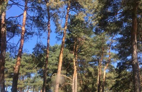 DOM 4 POKOJE Z BASENEM BLISKO WARSZAWY - Foto 33