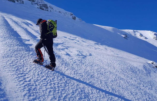 Eco dos Teixos - Foto 19