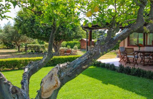 La Casa di Lina - Capo d'Orlando, casa con ampio giardino - Foto 27