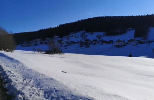 Ferienwohnung - Haus Monika - Foto 22