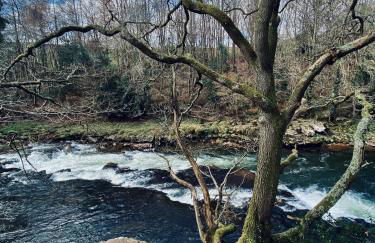 12 Crickhowell Cottages, Town Centre Location - Photo 31