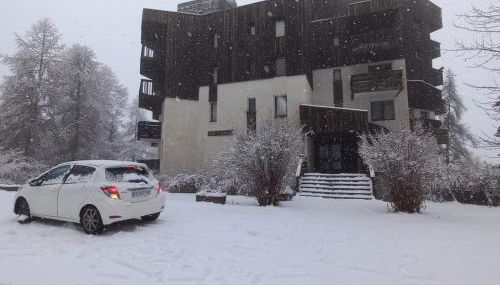 Les écureuils du Méale - Foto 5