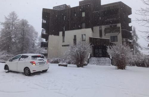 Les écureuils du Méale - Photo 5