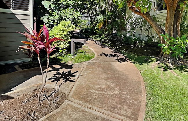 Grand Champions by VTrips - Foto 44