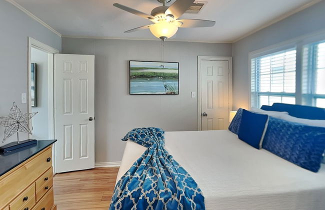 Blue Curlew - Photo 10