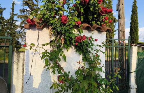 ΠΕΤΡΙΝΗ ΚΑΤΟΙΚΙΑ ΣΤΗΝ ΦΥΣΗ - Photo 22