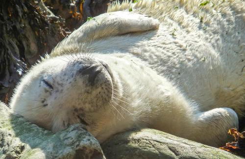 Lighthouse Watch - Photo 30