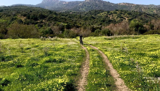 Parco delle Madonie Mountain Bike Tour - Foto 3