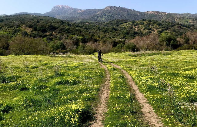 Parco delle Madonie Mountain Bike Tour - Foto 3