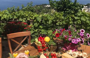 Agriturismo del Sole - Foto 53