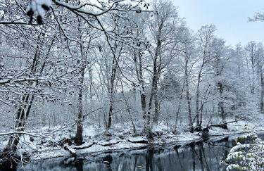 Masuria Warsaw Family - dom na wyłączność - w lesie i przy rzece - 15 min od Warszawy - idealny dla rodzin z dziećmi - Foto 60