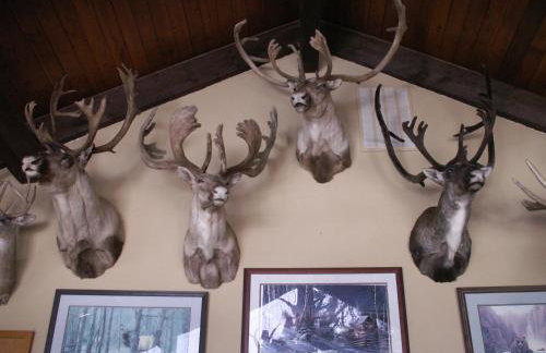 Whitebird Summit Lodge - Foto 52