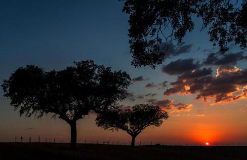 Agroturismo Xistos - Foto 34