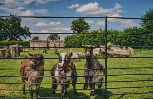 Puddle Duck Cottage - Photo 37