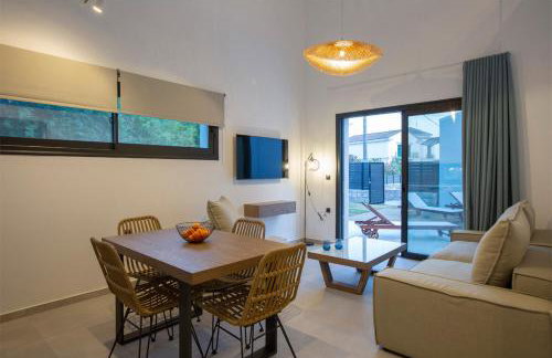 SEASCAPE VILLAS VASSILIKI - Beachfront villas - Foto 51