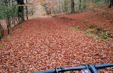 Apartamentos Goizeder - Foto 6