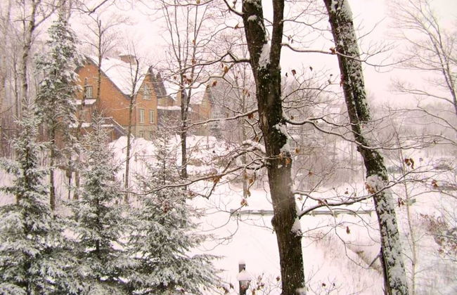 Le Manoir - Escapades Tremblant - Foto 58