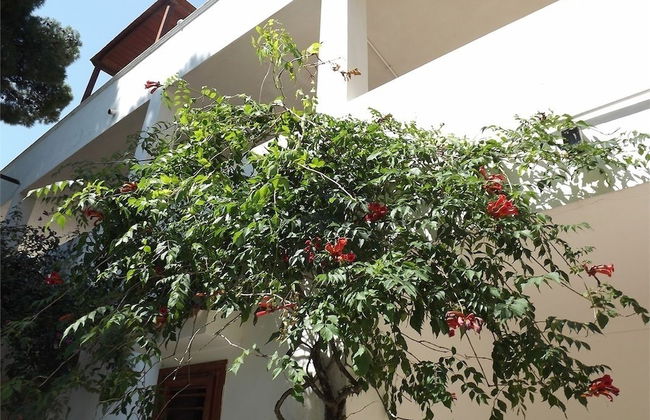 Residenza Collina dei Pini - Foto 45