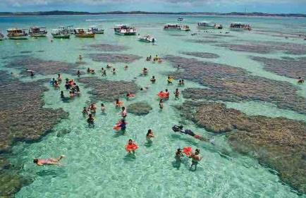 Lindo Apto, á 5 minutos da Praia! Barra de São Miguel-AL - Foto 51