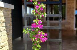 Villa Ancora - Foto 30