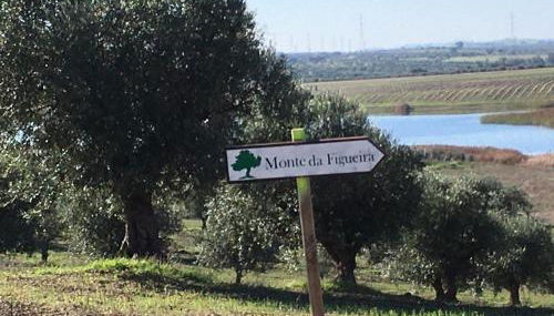 Monte da Figueira - Foto 2