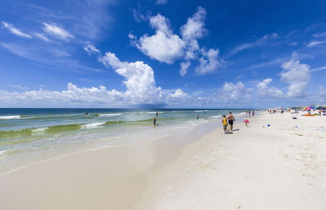 Plantation 4503 - Foto 54