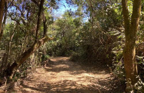 Chalé na Floresta - Refúgio Natural - Photo 39