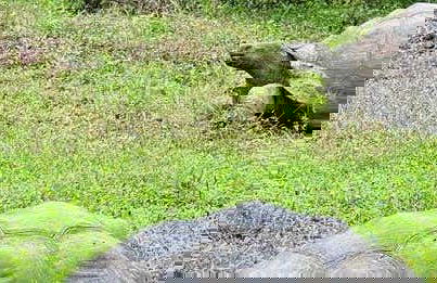 Galapagos Frontier Reserve + Lava Tunnels Tour - Photo 1