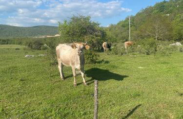 Kuća za odmor Ema - Foto 54