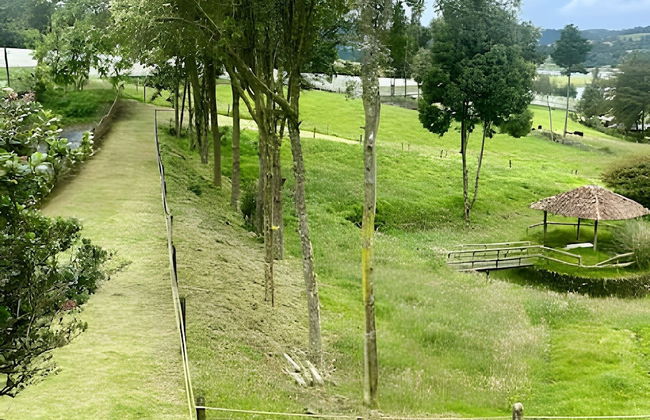 1. Cabaña Portón de Ovejas - Photo 15