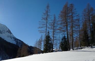 Appartament Anna 4 - Foto 15