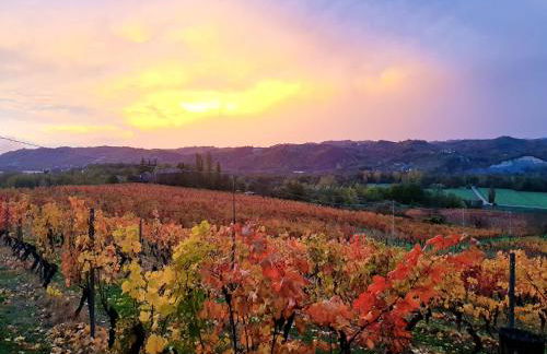 Castello di Tagliolo Wine Resort - Foto 18