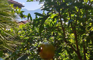 Bella casa con vista panoramica - Foto 14